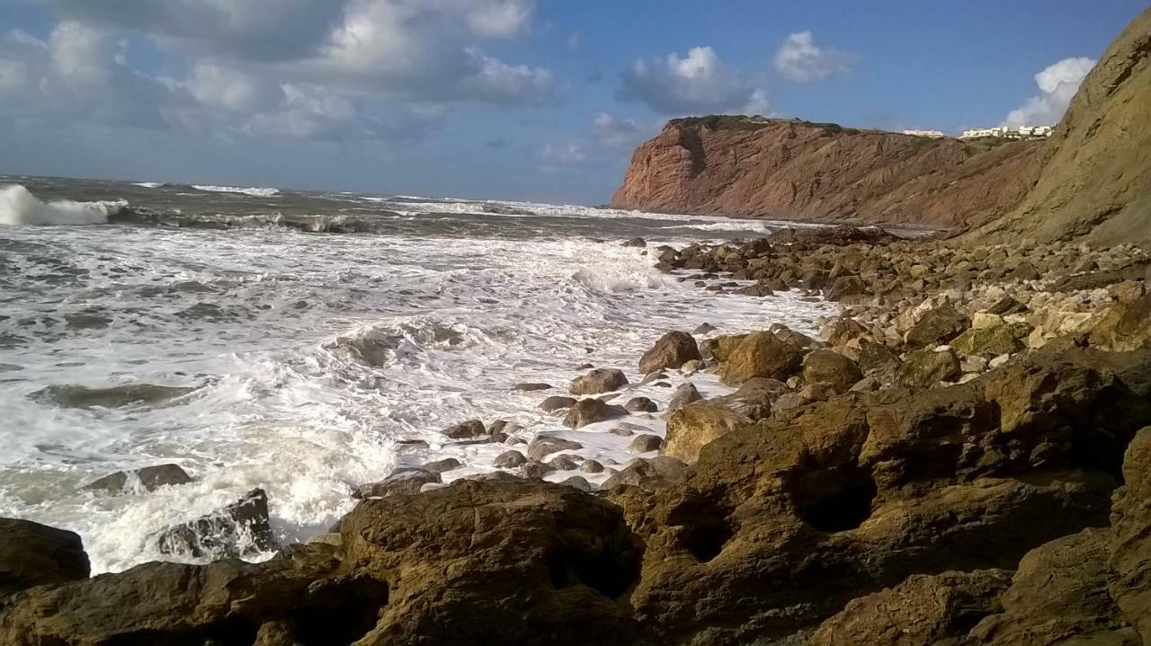 Апартаменти Carmona G Сан-Мартінню-ду-Порту Екстер'єр фото
